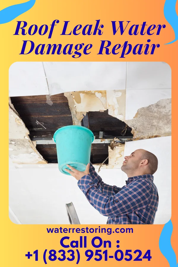 Roof Leak Water Damage Repair in West Palm Beach, FL